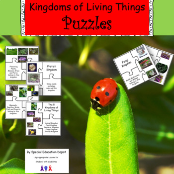 kingdom norseland puzzle