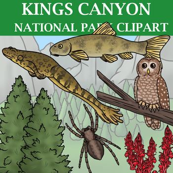 Preview of Kings Canyon National Park Clipart - Plants and Animals of the National Parks