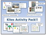 Kites Activity Pack--Great for special education/SLP colla