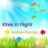 Kites in Flight slideshow