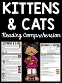 Kittens and Cats Overview Reading Comprehension Worksheet