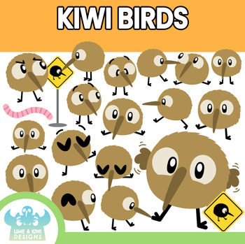 Kiwi Birds Teaching Resources | TPT