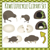 Kiwi Worksheets & Teaching Resources | Teachers Pay Teachers