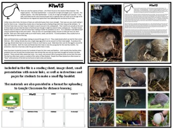 Kiwis - Reading & Project Sheets by Mrgrayhistory | TpT