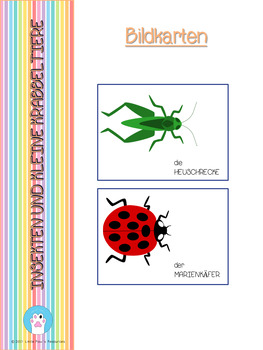 Preview of Insekten & Kleine Krabbeltiere Bildkarten