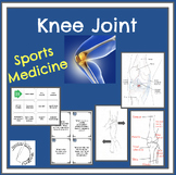 Knee Joint and Related Structures