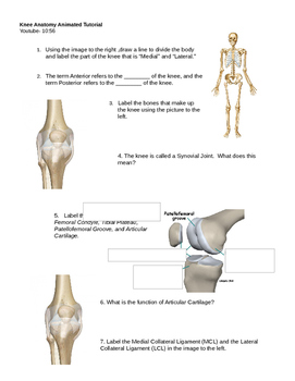 Preview of Knee Video Tutorial Handout