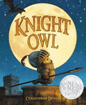 Preview of Knight Owl:  Test Questions Package (GR K-2 SSYRA), by Christopher Denise