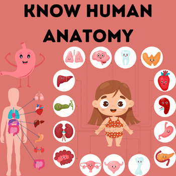 Preview of Know Human Anatomy Coloring Book