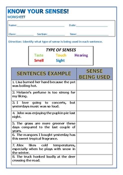 Preview of Know Your Senses! (The Five Human Senses) Activity Worksheet