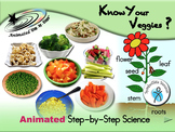 Know Your Veggies? Animated Step-by-Steps Science - SymbolStix