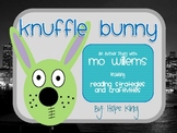 Knuffle Bunny: A Book Series Study