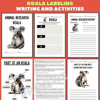 Preview of Koala Animal Research Project Report - Information Report Activities