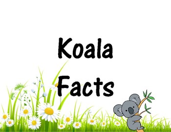 Preview of Koala Facts FREEBIE