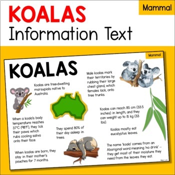 Preview of Koala Animal Fact Sheet - Diet, Habitat, Features, Size etc - Mammals