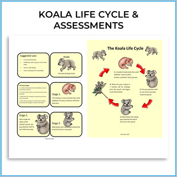 Koala Life Cycle Printables in 2023  Life cycles, Animal life cycles, Flip  book examples