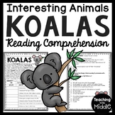 Koalas Informational Text Reading Comprehension Worksheet Animals