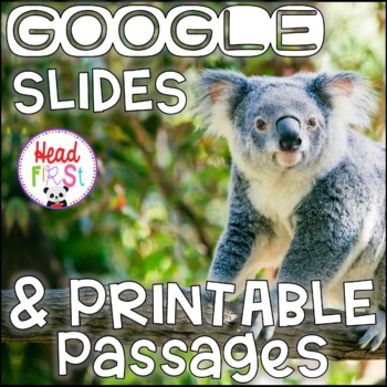 Preview of Koalas NONFICTION GOOGLE and PRINTABLE Passages and Writing Activities