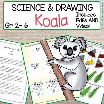 Koala Directed Drawing | Animal Classification | Centers | Pdf | Video