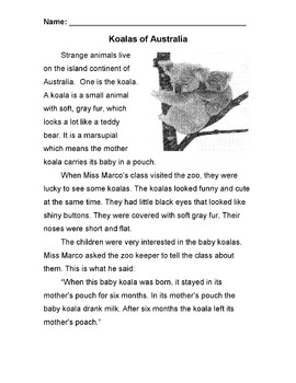 Preview of Animal: KOALA Story & Info Text + 7 Multiple Choice Reading Comprehension Qs