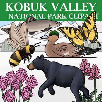Preview of Kobuk Valley National Park Clip Art - Plants and Animals of the National Parks