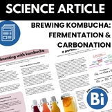 Kombucha: Fermentation, Carbonation, & Experimentation Sci