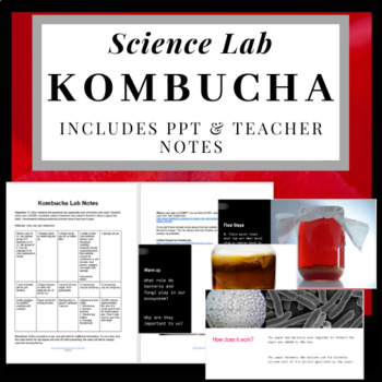 Preview of Kombucha Lab: Explore Symbiotic Relationships with Yeast & Bacteria
