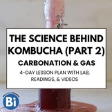 Kombucha Lab & Lesson Plan [Part 2: Carbonation]