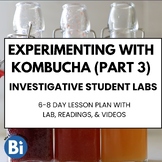 Kombucha Lab & Lesson Plan [Part 3: Experimentation and St