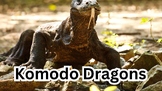 Komodo Drag Zoology Engaging PowerPoint Presentation with 