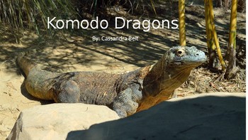 Preview of Komodo Dragon PowerPoint