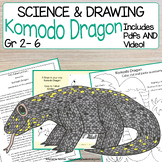 Komodo Dragon Reptile Directed Drawing  | How to Draw Anim