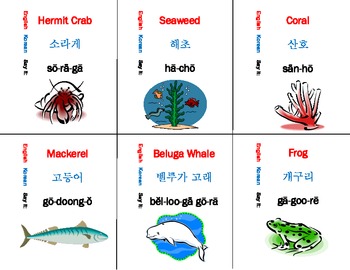 Preview of Korean Language Flash Cards Set - sea life set of 36 cards