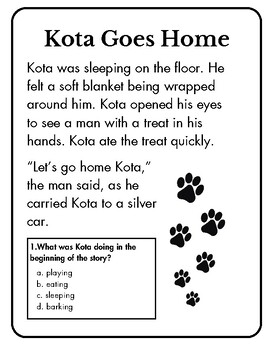 Preview of Kota Goes Home 1st Grade Worksheet