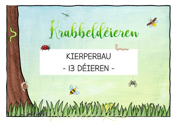 Preview of Krabbeldéieren - Plakater Kierperbau