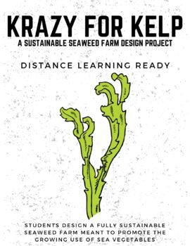 Preview of Krazy For Kelp -- Marine Ecosystem and Sustainable Seaweed Farm Design Project