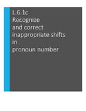 L.6.1.c Recognize and correct inappropriate shifts in pron