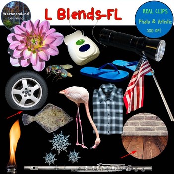 Preview of L Blends Clip Art FL Blend Real Clips Digital Stickers Photo & Artistic