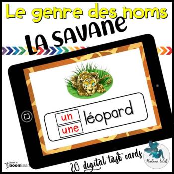 Preview of L'accord des mots en Safari  BOOM CARDS Distance learning