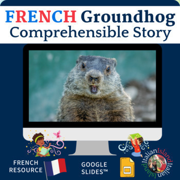 Preview of L'année sans une marmotte  - Comprehensible Story for French on GoogleSlides™