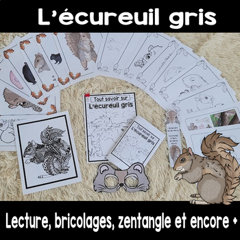 Preview of L'écureuil gris lecture et activités