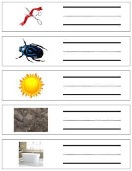 Preview of L040 (GOOGLE): CVC|phonetic (word writing strips) with lines (SET 1) (5pgs)