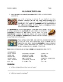LA CACHAPA - SPANISH CONTENT INSTRUCTION