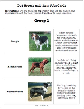 Preview of LAB - Selective Breeding of Dogs (w/ PowerPoint)