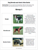 LAB - Selective Breeding of Dogs (w/ PowerPoint)