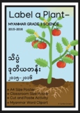 LABEL A PLANT- MYANMAR GRADE 3 SCIENCE (2015-2016)