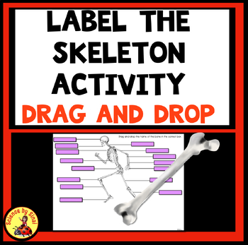 Preview of LABEL THE  BONES SKELETON Drag and Drop Activity Digital or Printable Review