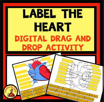 Preview of LABEL THE HEART Drag and Drop DIGITAL WORKSHEETS ACTIVITY Blood Pathway