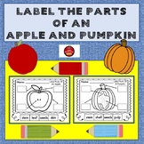 LABEL THE PARTS OF AN APPLE AND PUMPKIN