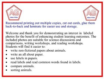 Preview of LABELED ANIMAL PHOTOS FOR WRITING, SCIENCE, MATH SORTING